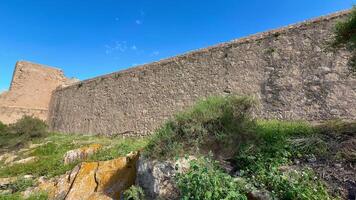 An impressive ancient stone wall surrounded by vibrant greenery under a clear blue sky offers a breathtaking view photo