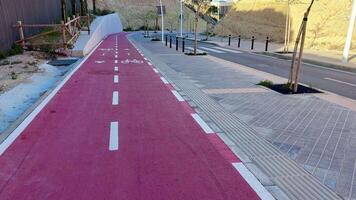 A pink bike lane winds through a bustling urban area, next to a landscaped path filled with lush trees photo