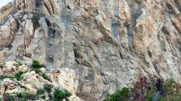 A majestic rocky cliff with safety measures for climbers and protection for the surrounding natural habitat photo