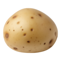Close-up of a raw potato with dark spots against a transparent background. png