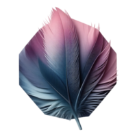 Abstract Feather Pastel Colors in a Geometric Shape png