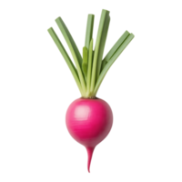 Vibrant Pink Radish with Green Tops on Transparent Background png