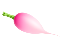Pink Radish with Green Stalk on Transparent Background png