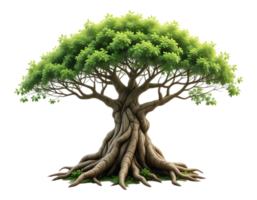 Ancient Tree with Lush Green Foliage and Exposed Roots png
