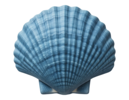 Blue Seashell on Transparent Background png