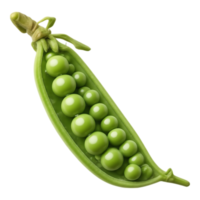 Open Pea Pod with Fresh Green Peas png