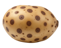 Unique Fruit with Circular Markings Resembling Chocolate Chips png
