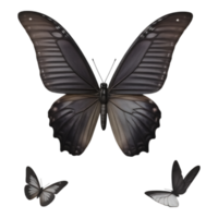 Elegant Black Butterfly Trio on Transparent Background png