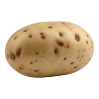 Close-up of a raw potato with skin texture and dark spots on a transparent background. png