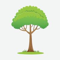 green tree element. fertile forest vector
