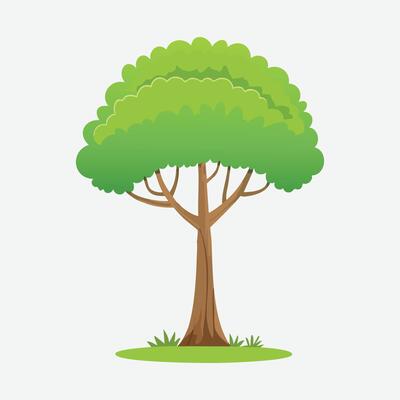 green tree element. fertile forest