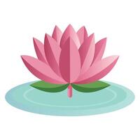 Pink Lotus Flower Illustration on Water Lily Pad with White Background vector