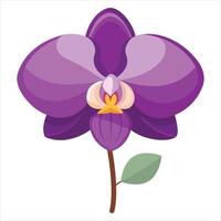 Stylized Purple Orchid Blossom with Stem and Single Green Leaf Illustration vector