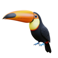 Toucan Tropical Bird Colorful Beak png