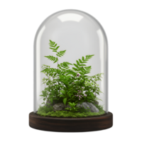 Glass terrarium container with small plants and moss inside png