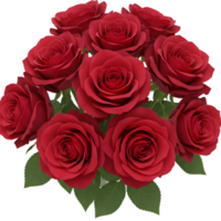Bouquet of deep red roses arranged in cluster formation png