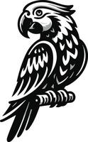 Exotic Parrot Art Black and White Graphics Illustration Design vector
