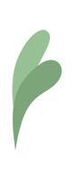 Simple flat illustration of a green leaf. This design highlights a branch adorned with leaves. Organic plant graphic ideal for nature themes, decoration, and environmental concepts vector