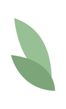 Stylized green leaves create a modern, flat representation. A simple depiction of nature reflects freshness and tranquility. This botanical concept serves versatile purposes, vector