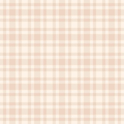 Idyllic background texture , 2025 plaid fabric tartan. Pretty seamless textile check pattern in old lace and light colors.