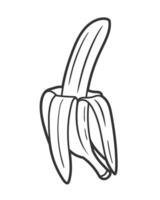 Line art of banana isolated on white background. Illustration in one line style vector