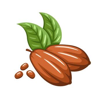 Cocoa beans isolated on white background. Logo template. Design elements. Cacao beans vector