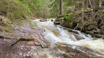 A picturesque mountain stream gracefully flowing through the lush greenery of the rocky terrain surrounding it video