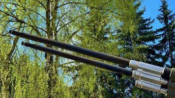 Dual cannons rise dramatically against a vibrant green forest backdrop, showcasing military technology. video
