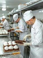 chefs preparing food in a commercial kitchen photo