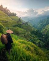 serene view of rice farmer overlooking lush green terraces photo