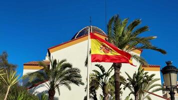 A breathtaking view of the Spanish flag elegantly waving amongst tall palm trees beneath a bright blue sky video