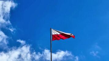 A vibrant and colorful Polish flag flutters proudly against a serene clear blue sky adorned with fluffy white clouds video