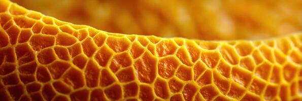 Close-up of Textured Orange Peel Showing Intricate Patterns and Vibrant Colors Highlighting Natures Design in a Clean Macro View photo