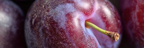 Zoomed-in View of Plum Skin Displaying Intricate Natural Textures Against an Empty Background photo