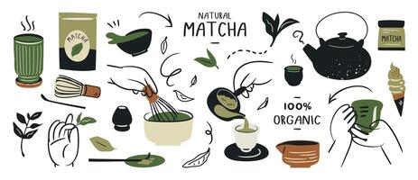 Natural matcha tea ingredients and preparation vector