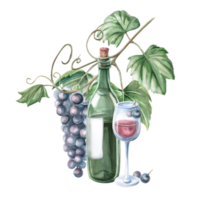 Glass of red wine, bottle and grapevine. Isolated watercolor illustration in realistic style for bar menu design, restaurant interior, printing on alcoholic beverages, printing on textiles. png
