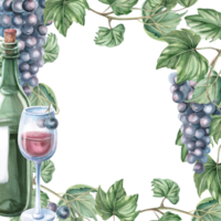 Square frame with green glass bottle and grapes. Isolated watercolor illustration for bottle label design, bar menu design, printed products for Wine Day and Harvest Festival. png