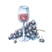 Glass of red wine and bunch of grapes. Isolated watercolor illustration for bar menu design, restaurant interior, printing on alcoholic products, printing on textiles. png