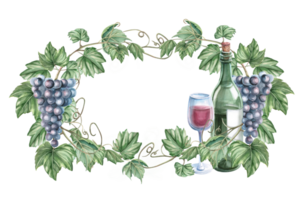 Oval frame with grapevine, bunch of ripe grapes and bottle of wine. Isolated watercolor illustration in realistic style for restaurant menu design, bar interior, textile printing. png