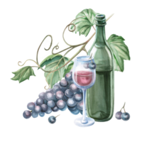 Wine bottle with a glass on a background of grapevine. Isolated watercolor illustration in a realistic style for bar menu design, restaurant interior, printing on alcoholic beverages png