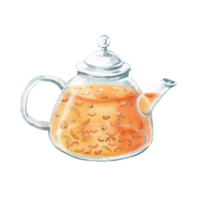 Glass teapot with warming sea buckthorn and ginger tea. Isolated watercolor illustration in realistic style for design of juices, drinks, teas, tea card, printing on postcards, fabric and textiles. png