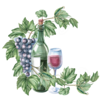 Composition with grapevine, green glass bottle and glass. Isolated watercolor illustration in realistic style for restaurant menu design, bar interior, textile printing. png