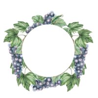 Wreath with bunches of ripe dark grapes. Isolated watercolor illustration for design of wine labels, signs for bars and restaurants, menus, printing on postcards and posters. png