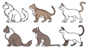 A set of different types of cats vector