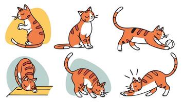 A set of cartoon cat poses vector