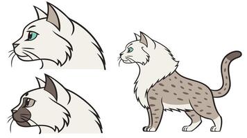 A set of four different cat styles vector