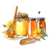 Watercolor hand-painted different types of honey in jars, bees and pollen with yellow flowers near png