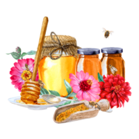Watercolor painted different types of honey in jars, bees and pollen and red-pink Zinnia flowers png