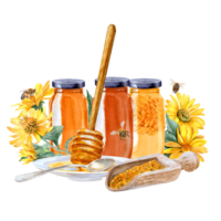 Watercolor painted different honey products, Heliopsis flowers and bees around it png