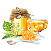 honeycombs, honey in a jar, and hand-painted lime blossoms png